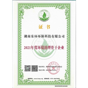 2021环境治理骨干企业