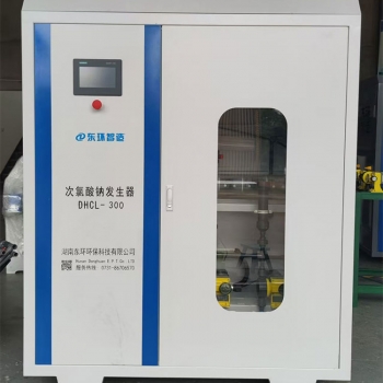 300g次氯酸钠发生器